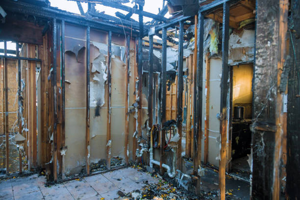 Professional Fire Damage Repair technician working in Tea, SD